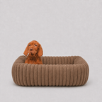 Le Cocon · Panier orthopédique pour chien