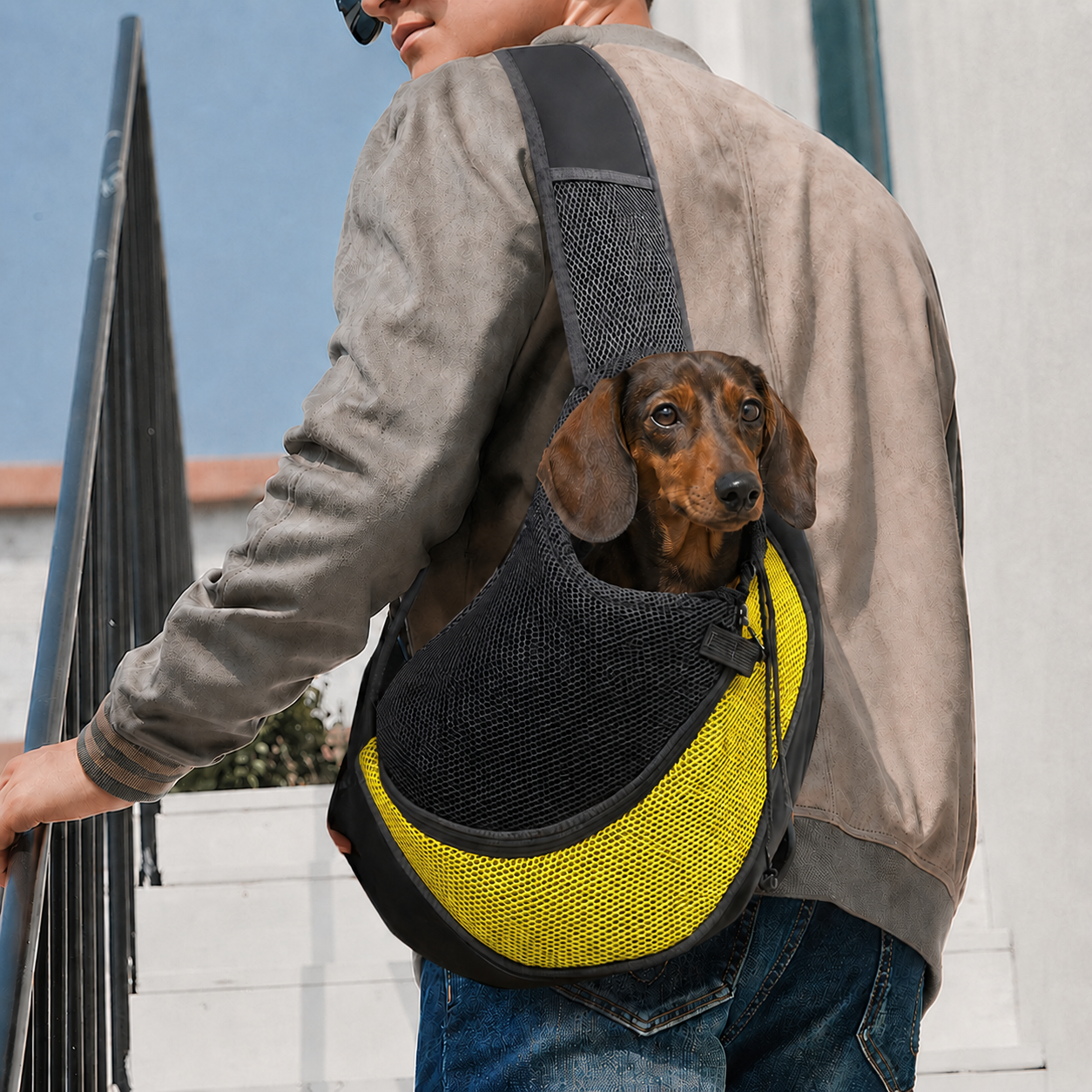 Petit teckel porté dans le sac de transport bandoulière Le Baladin jaune, la tête sortie de la maille, un homme le porte en travers du buste dans la rue — Maison Pattounes
