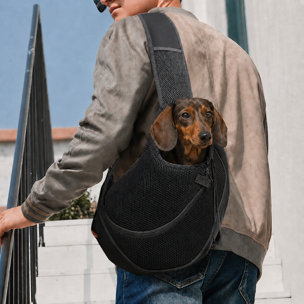 Petit teckel porté dans le sac de transport bandoulière Le Baladin noir, la tête sortie de la maille, un homme le porte en travers du buste dans la rue — Maison Pattounes