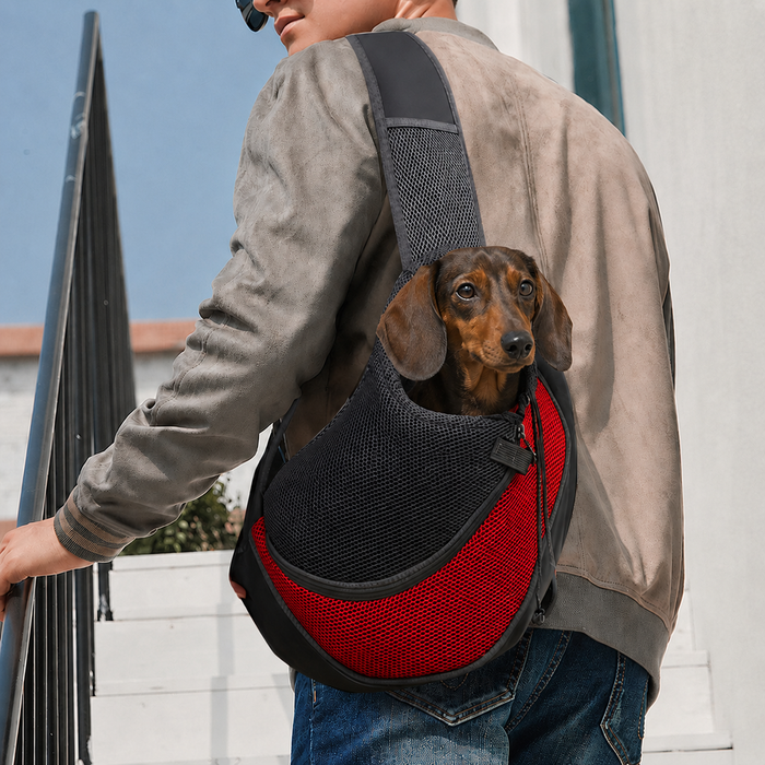 Petit teckel porté dans le sac de transport bandoulière Le Baladin rouge, la tête sortie de la maille, un homme le porte en travers du buste dans la rue — Maison Pattounes