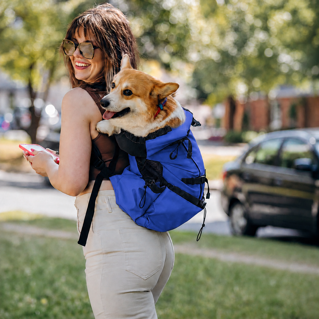 Sac à dos de portage Le Grimpeur pour chien, coloris Bleu, Maison Pattounes, vue 3