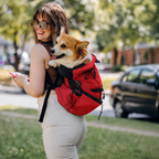 Sac à dos de portage Le Grimpeur pour chien, coloris Rouge, Maison Pattounes, vue 3
