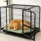 Tapis rafraîchissant Le Nénuphar pour chien, Maison Pattounes, vue 3