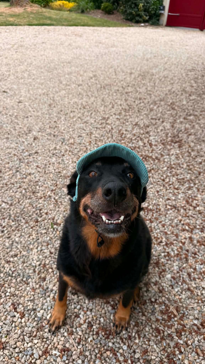 La Capeline · Casquette de soleil pour chien