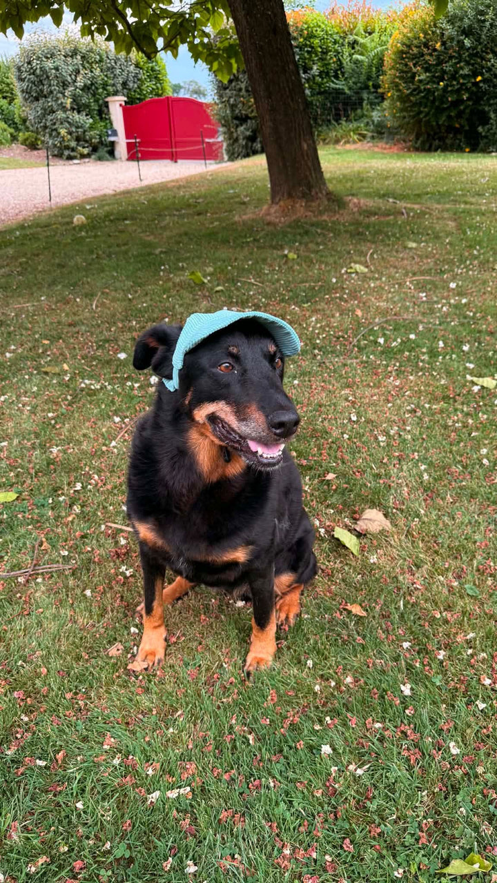La Capeline · Casquette de soleil pour chien