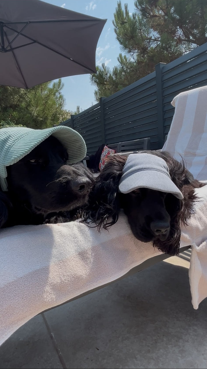 La Capeline · Casquette de soleil pour chien