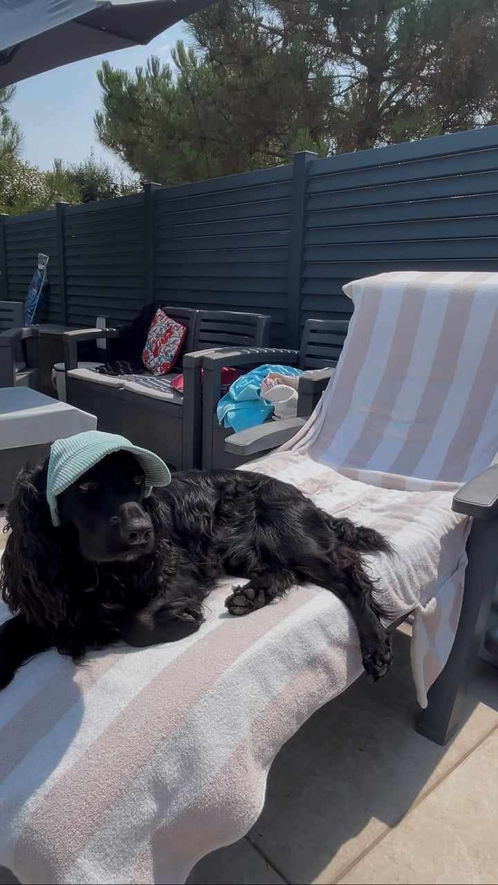 La Capeline · Casquette de soleil pour chien