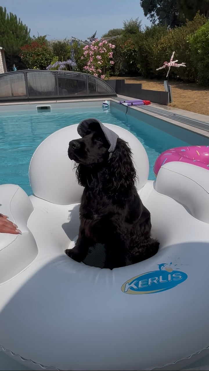 La Capeline · Casquette de soleil pour chien