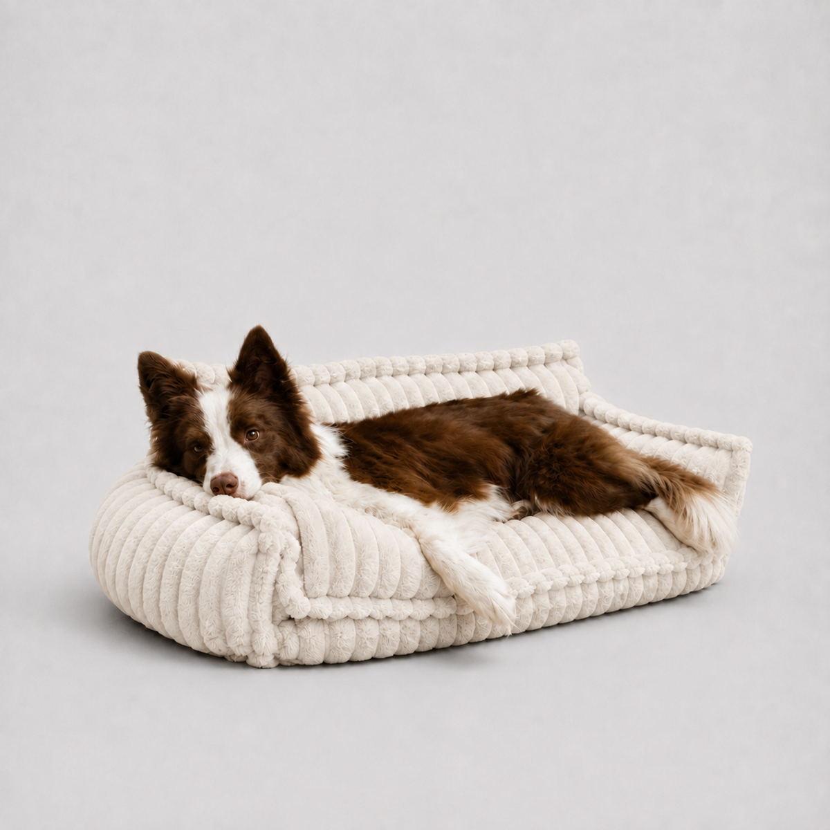 Le Boudoir · Canapé moelleux pour chien