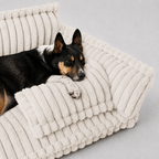 Le Boudoir · Canapé moelleux pour chien