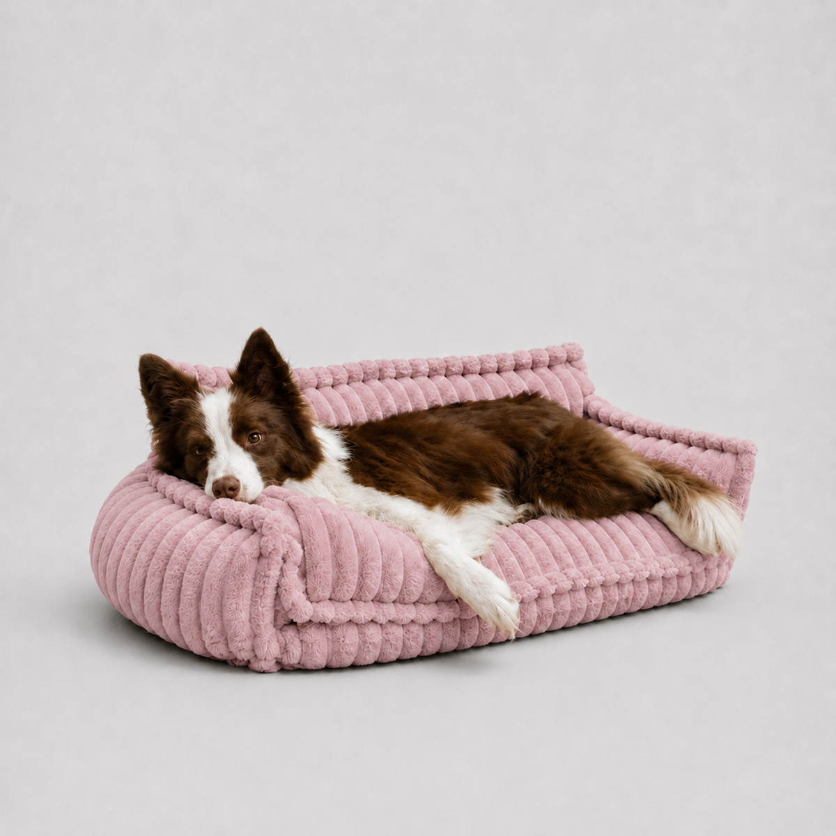 Le Boudoir · Canapé moelleux pour chien