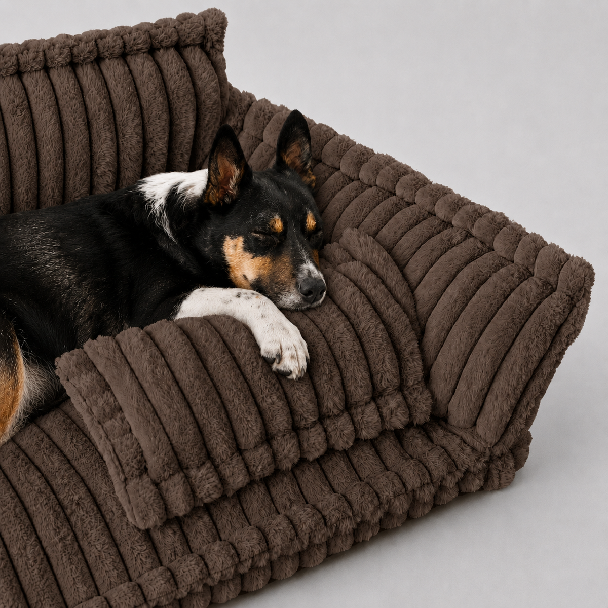 Le Boudoir · Canapé moelleux pour chien