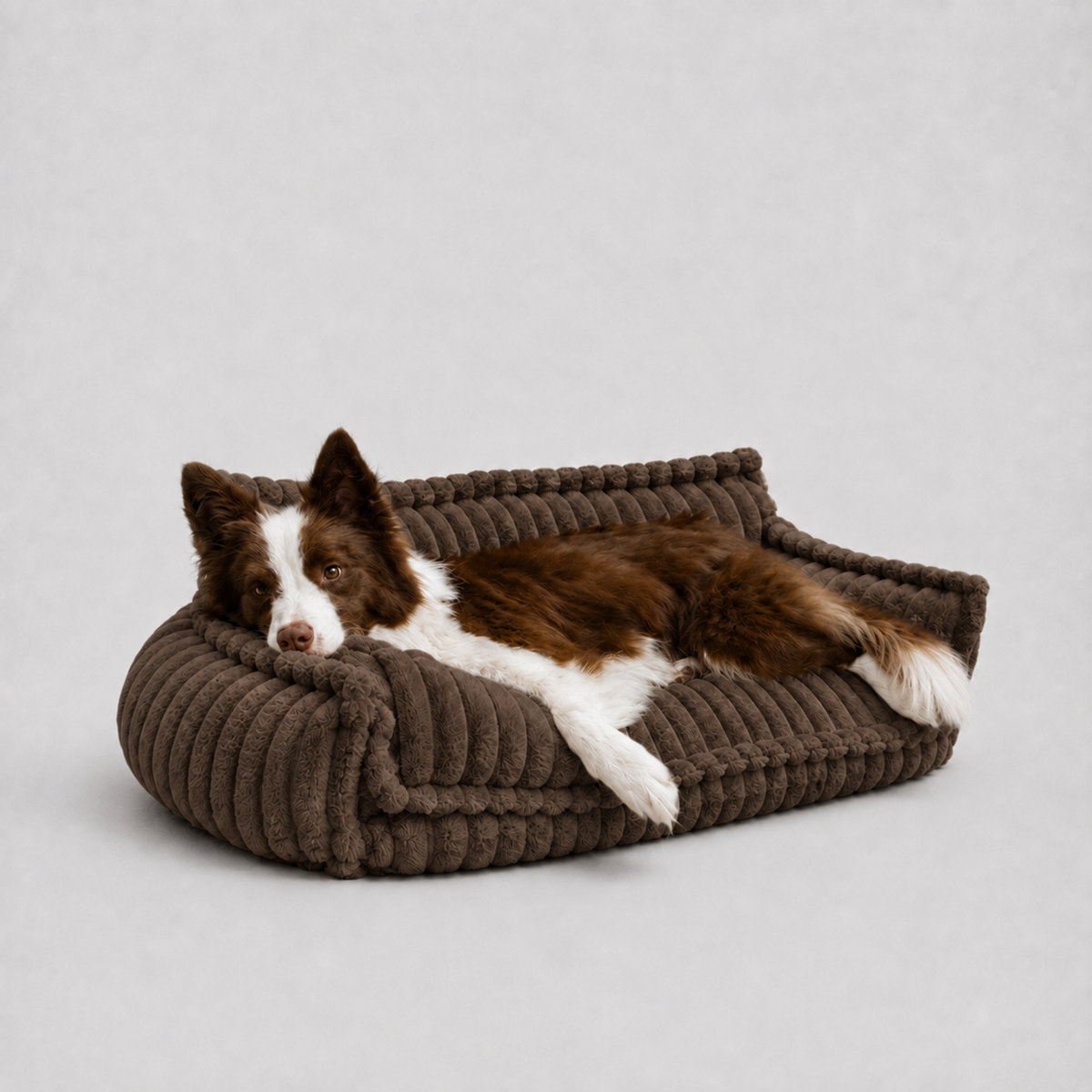 Le Boudoir · Canapé moelleux pour chien