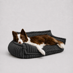 Le Boudoir · Canapé moelleux pour chien