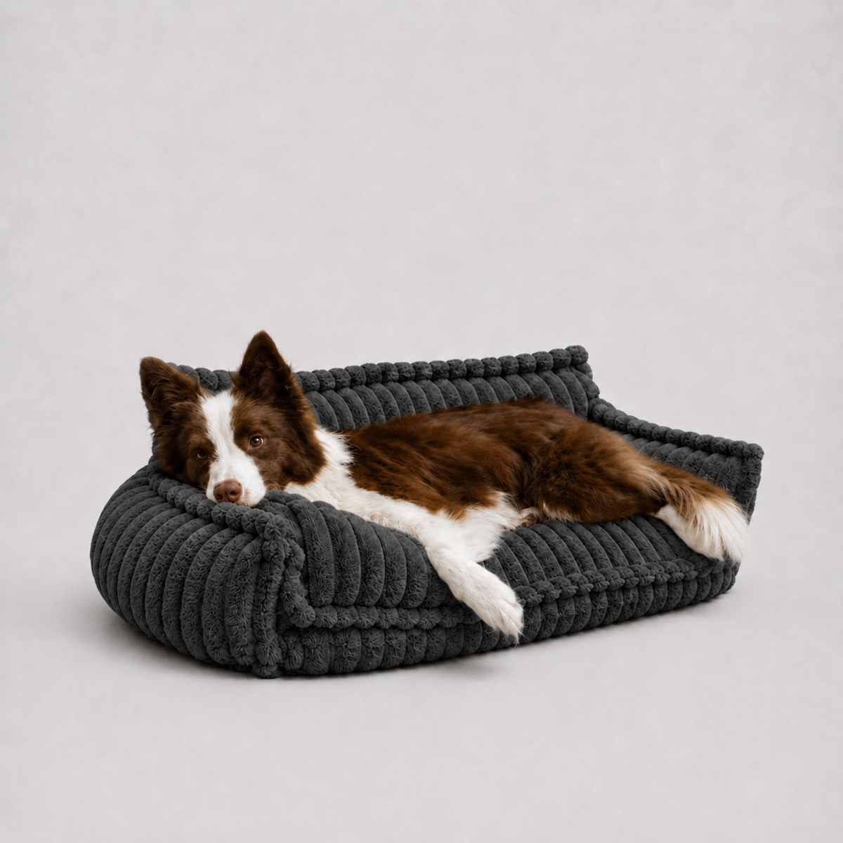 Le Boudoir · Canapé moelleux pour chien