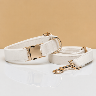 La Parade · Ensemble collier et laisse pour chien