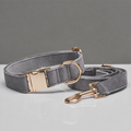 La Parade · Ensemble collier et laisse pour chien