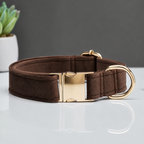 La Parade · Ensemble collier et laisse pour chien
