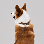La Parade · Ensemble collier et laisse pour chien