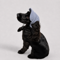 La Capeline · Casquette de soleil pour chien