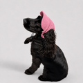 La Capeline · Casquette de soleil pour chien