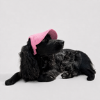 La Capeline · Casquette de soleil pour chien