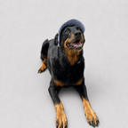 La Capeline · Casquette de soleil pour chien