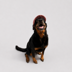 La Capeline · Casquette de soleil pour chien
