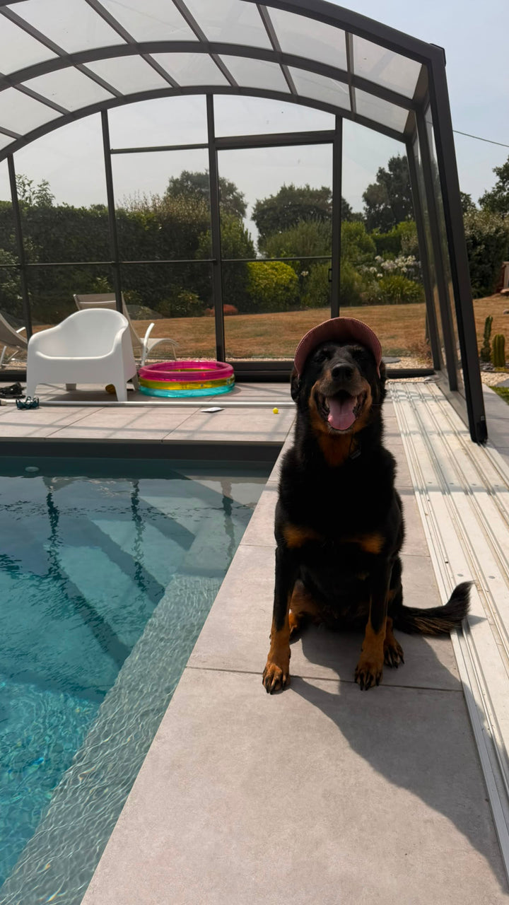La Capeline · Casquette de soleil pour chien