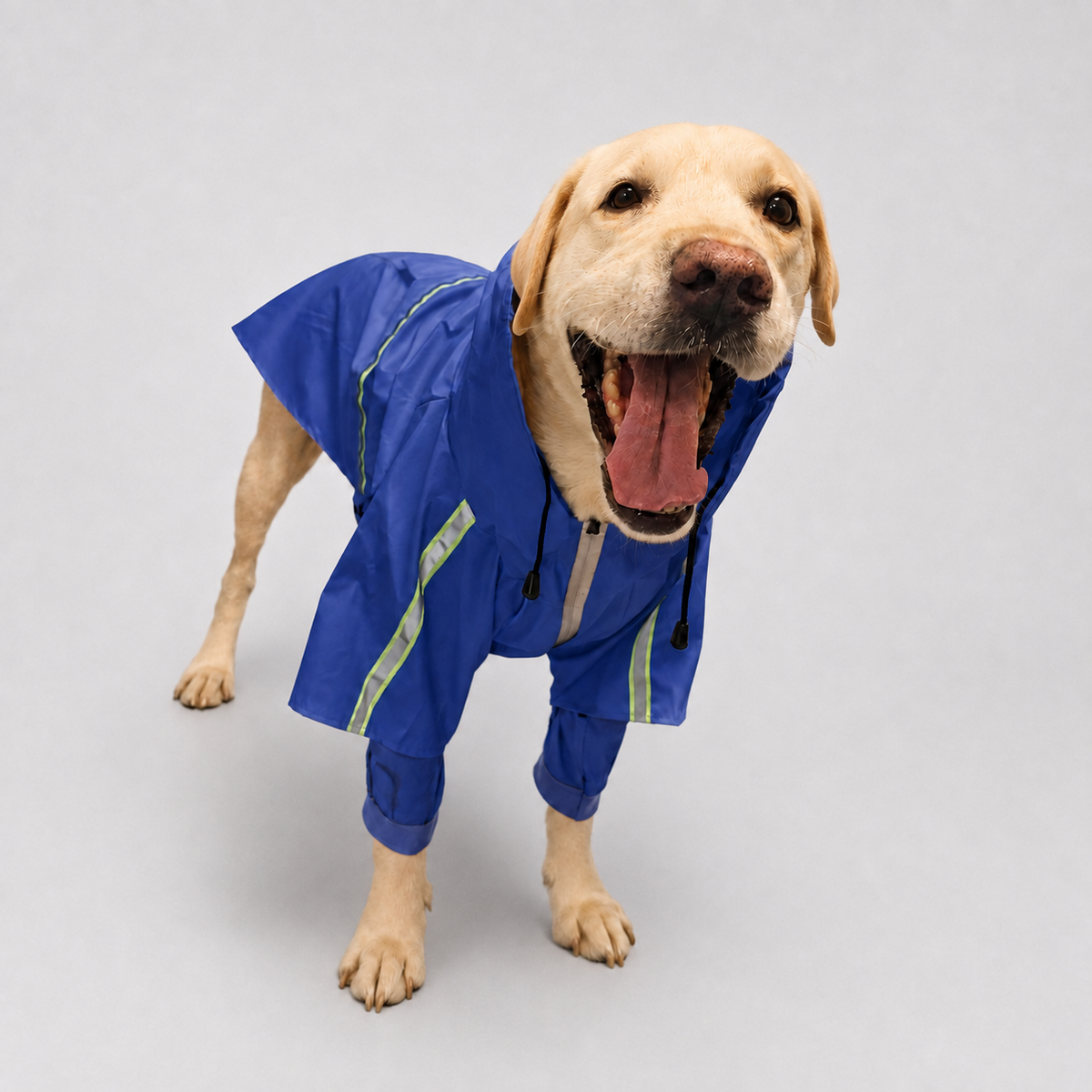 Le Suroît · Imperméable à capuche pour chien