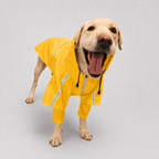 Le Suroît · Imperméable à capuche pour chien