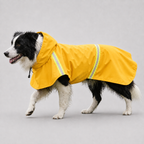 Le Suroît · Imperméable à capuche pour chien