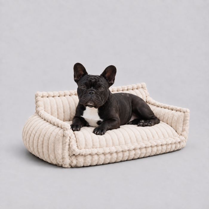 Canapé Le Boudoir taille L, 80 cm de large, avec un Bouledogue français allongé dessus