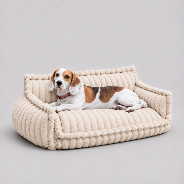Canapé Le Boudoir taille XL, 100 cm de large, avec un Beagle allongé dessus