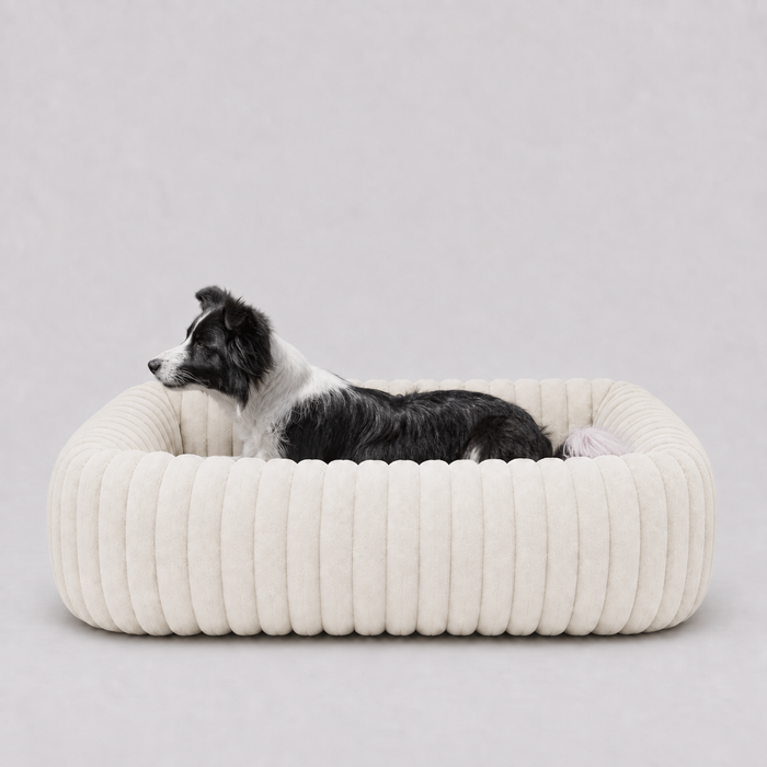 Panier Le Cocon taille L, 92 cm de large, avec un Border Collie couché dedans