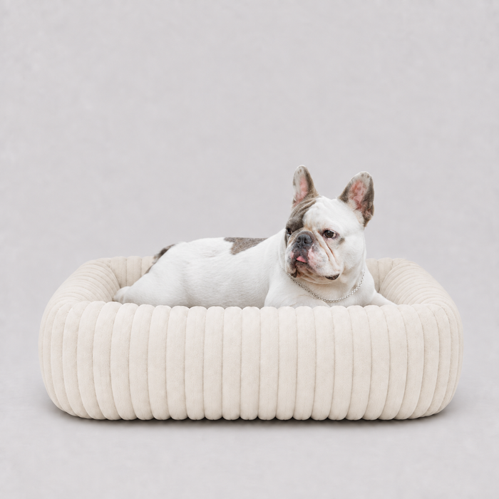 Panier Le Cocon taille M, 63 cm de large, avec un Bouledogue français couché dedans