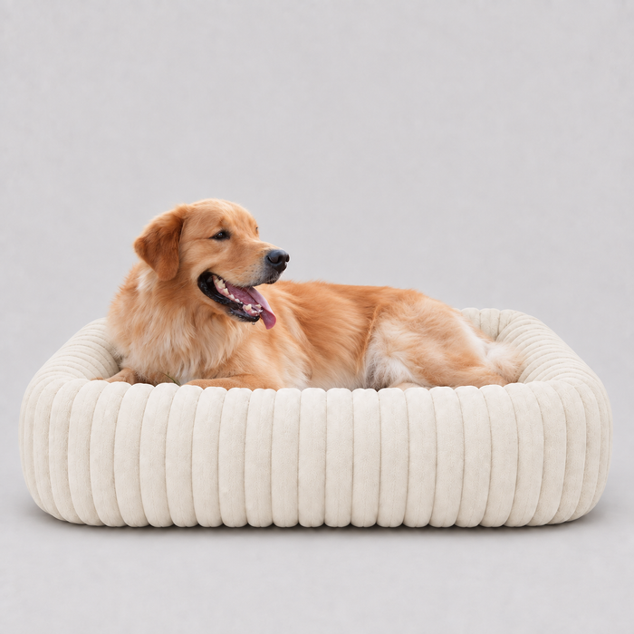 Panier Le Cocon taille XL, 110 cm de large, avec un Golden Retriever couché dedans
