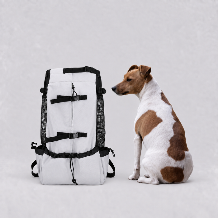 Sac à dos Le Grimpeur taille L, 57 cm de haut, à côté d'un Jack Russell