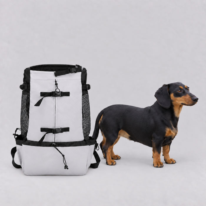 Sac à dos Le Grimpeur taille M, 48 cm de haut, à côté d'un Teckel